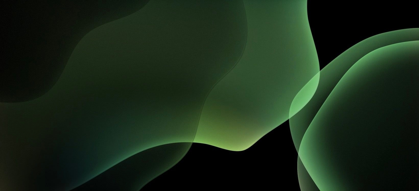 Cover photo