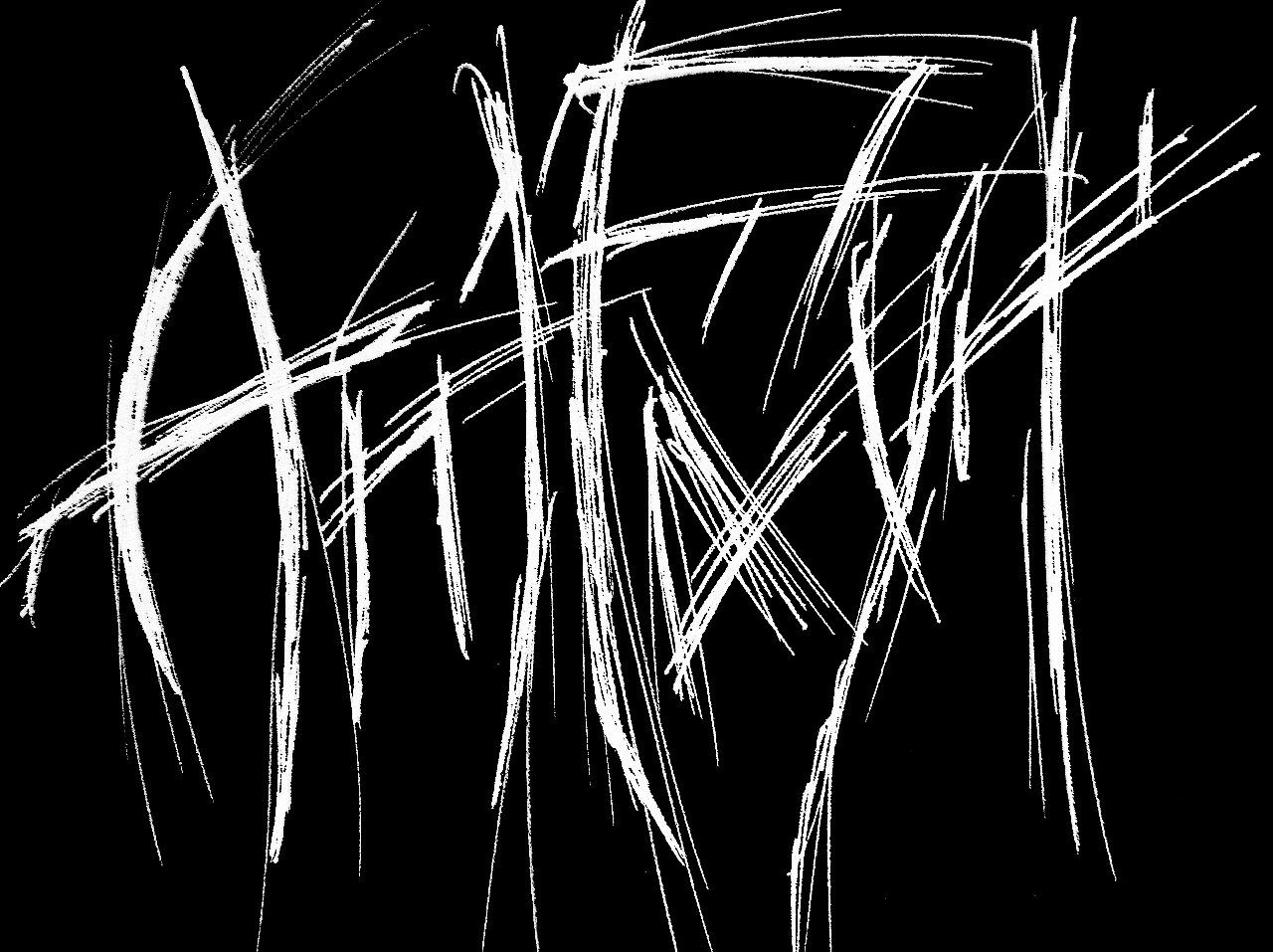 Cover photo