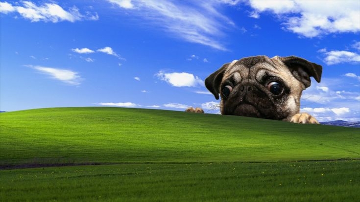 Cover photo