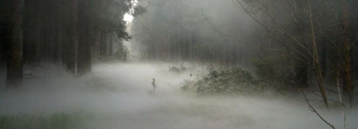 Cover photo