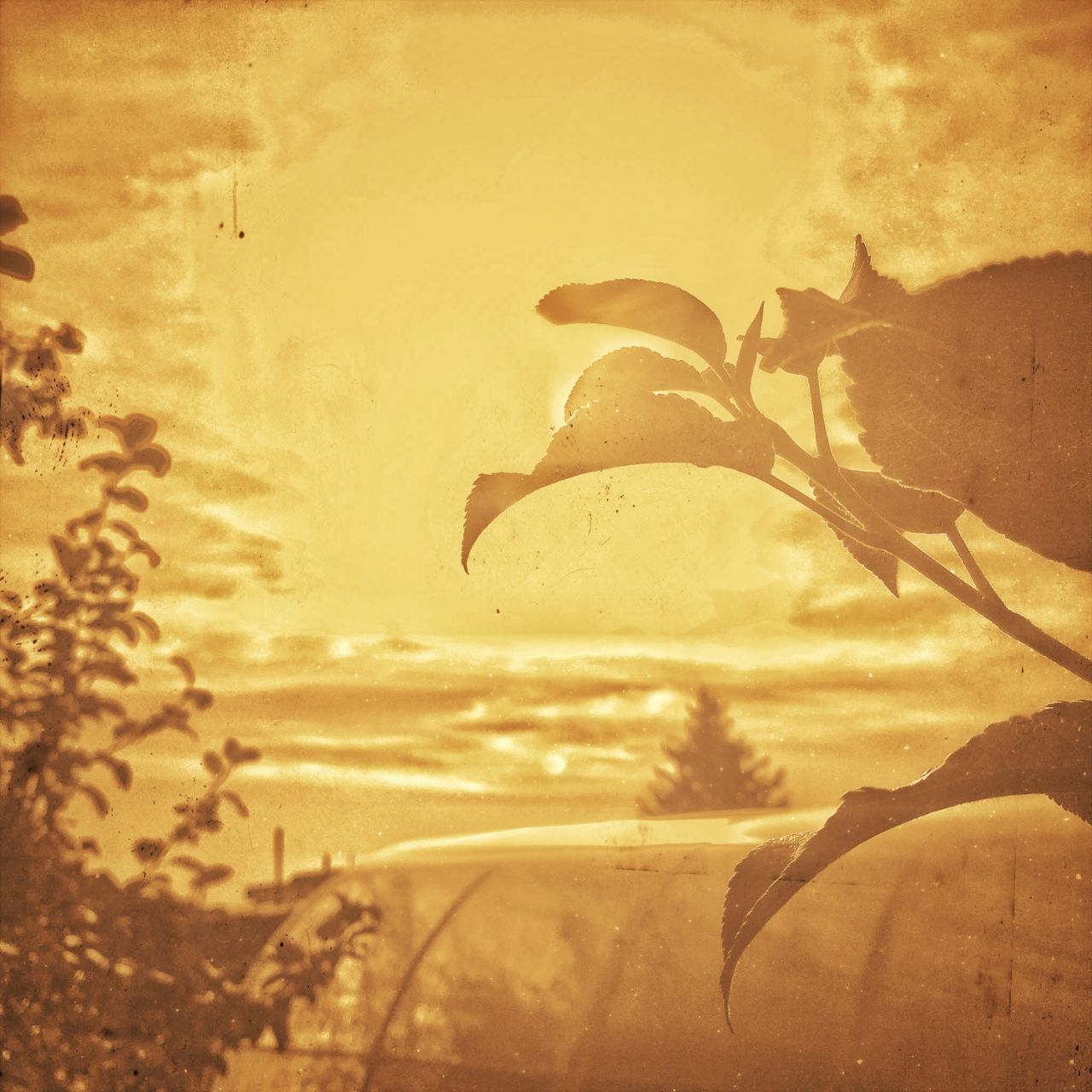 Cover photo