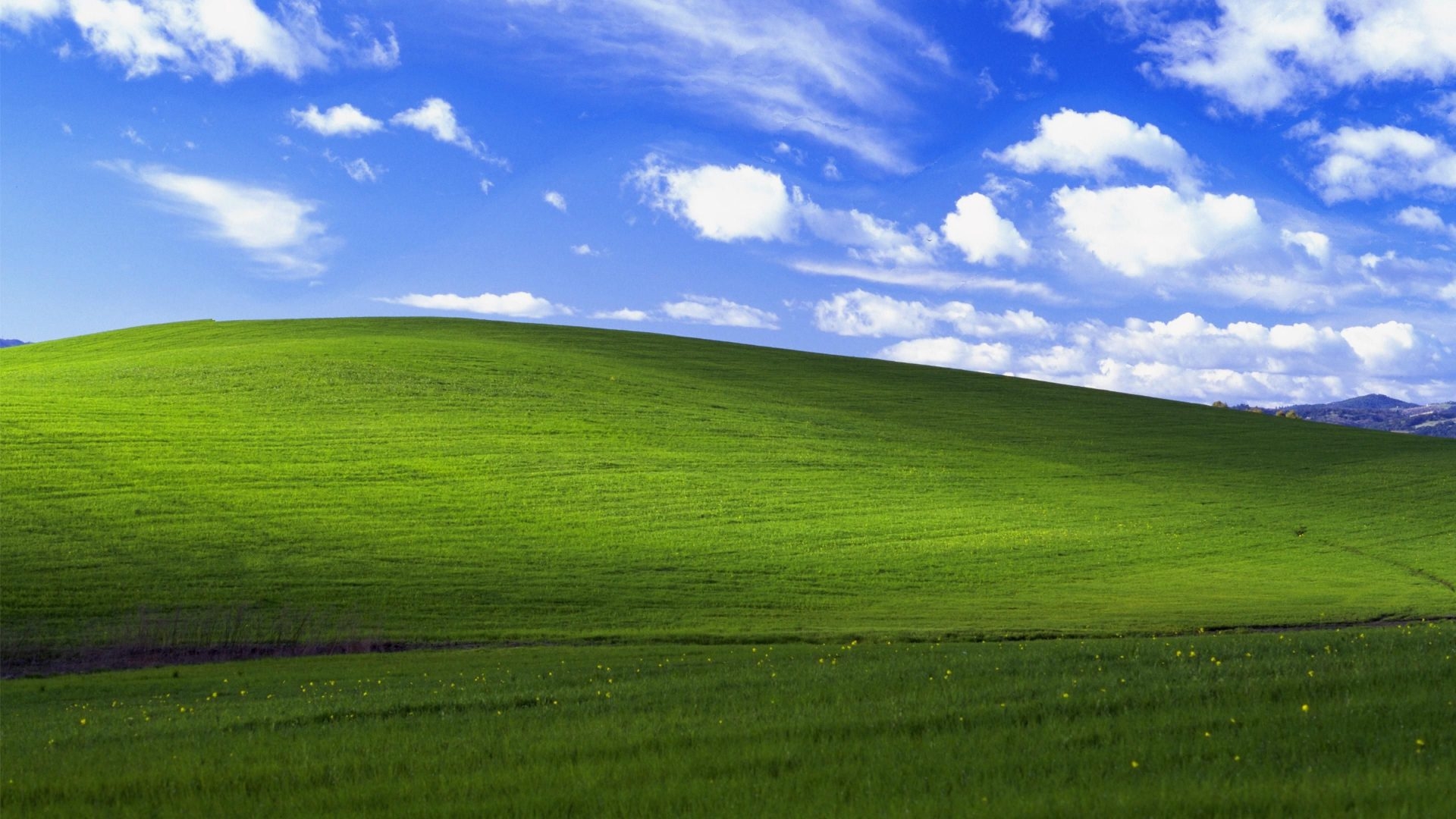 Cover photo