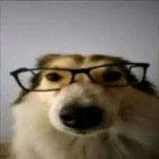 runimwahd