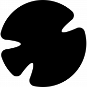 raduga