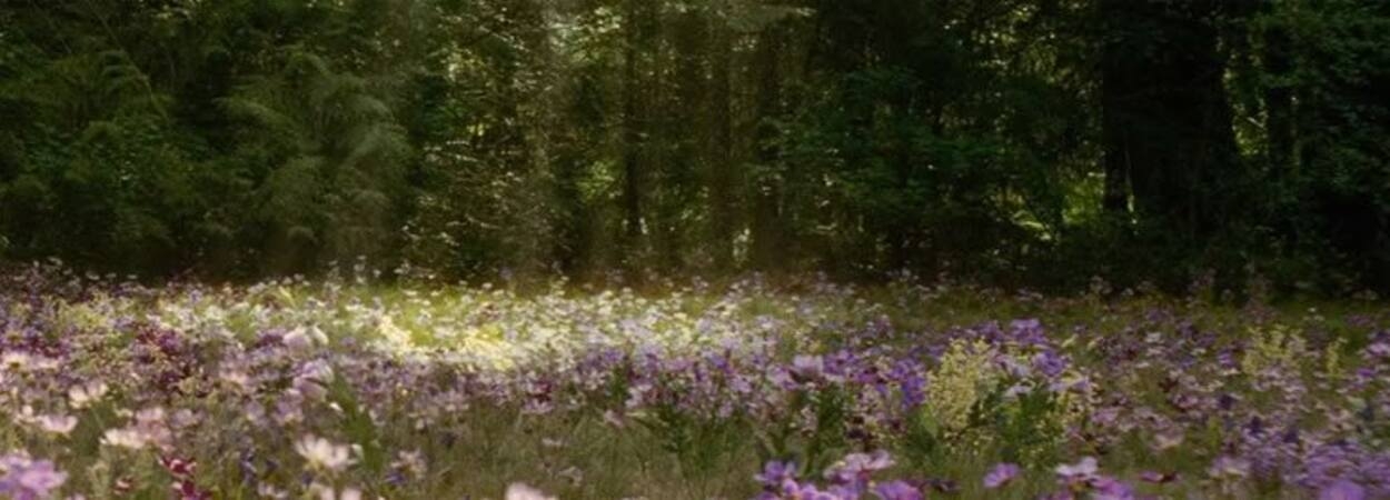 Cover photo