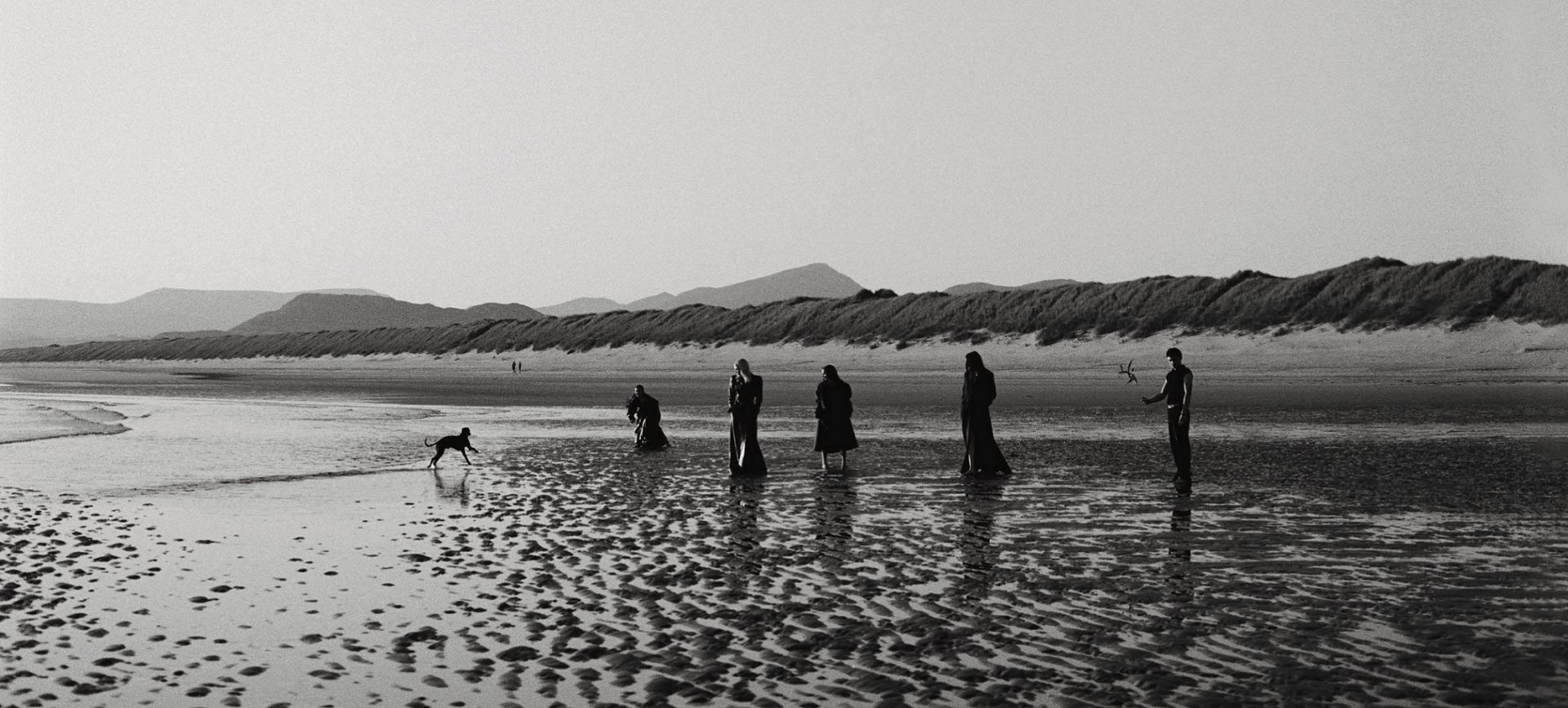 Cover photo