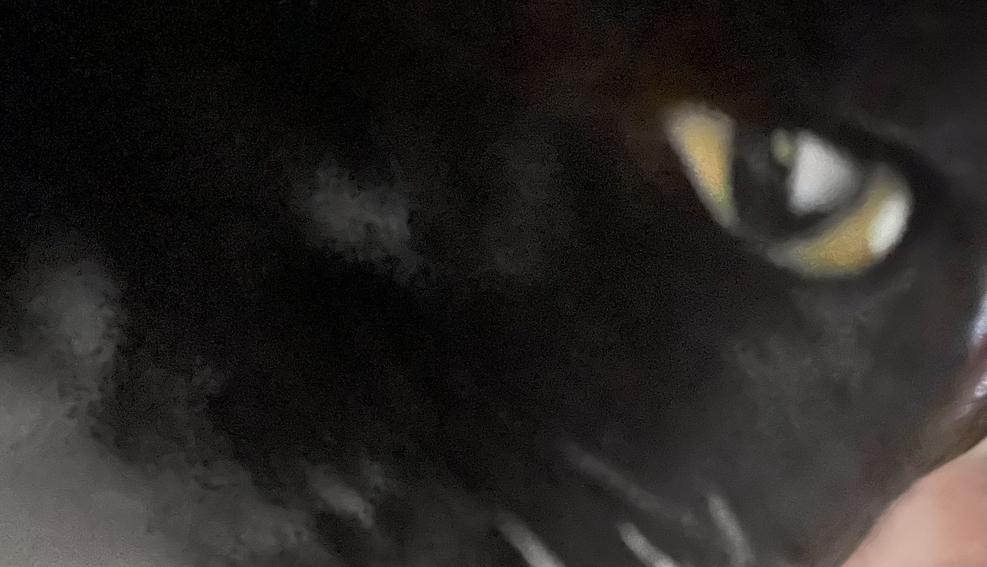 Cover photo