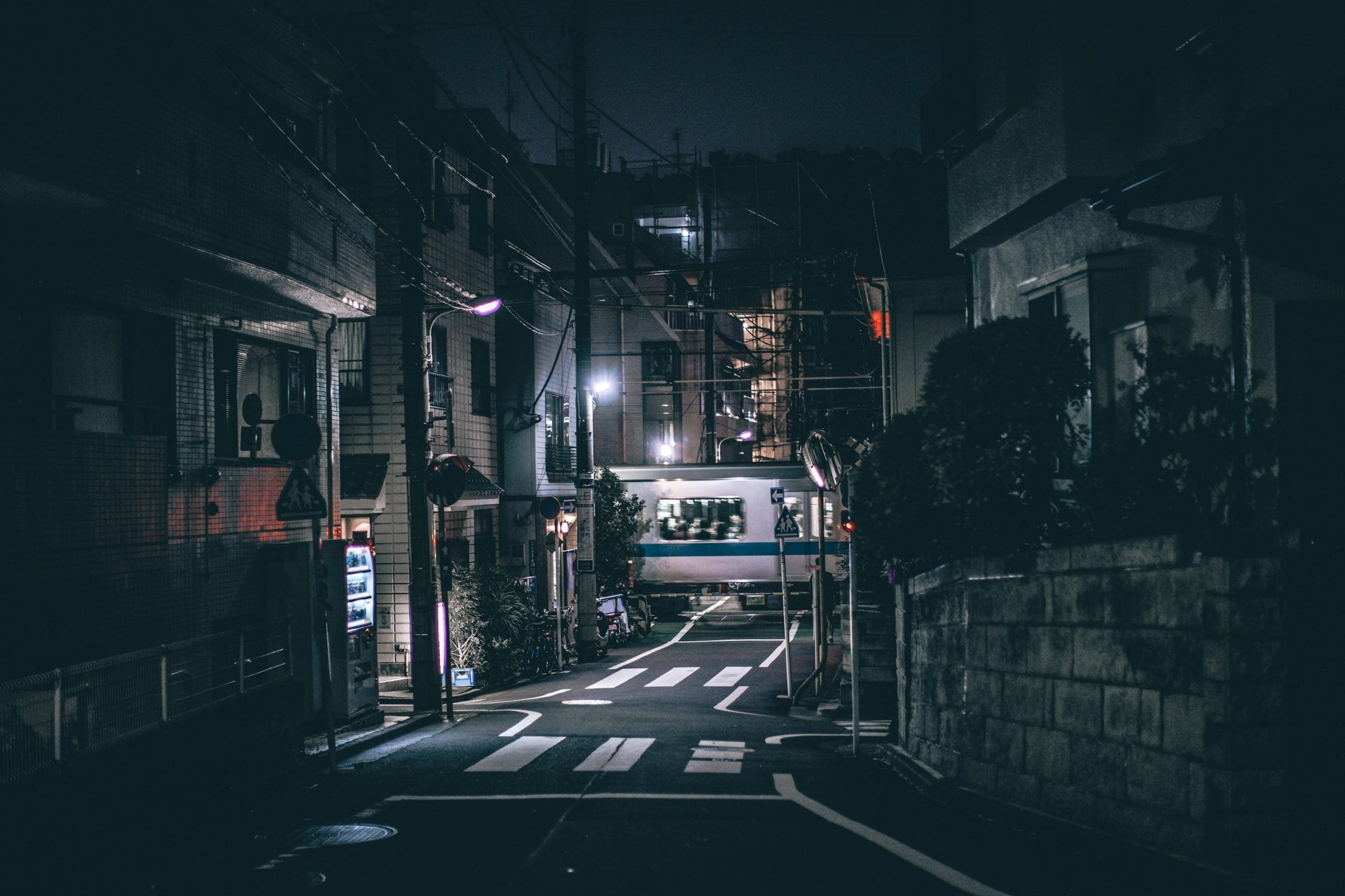 Cover photo