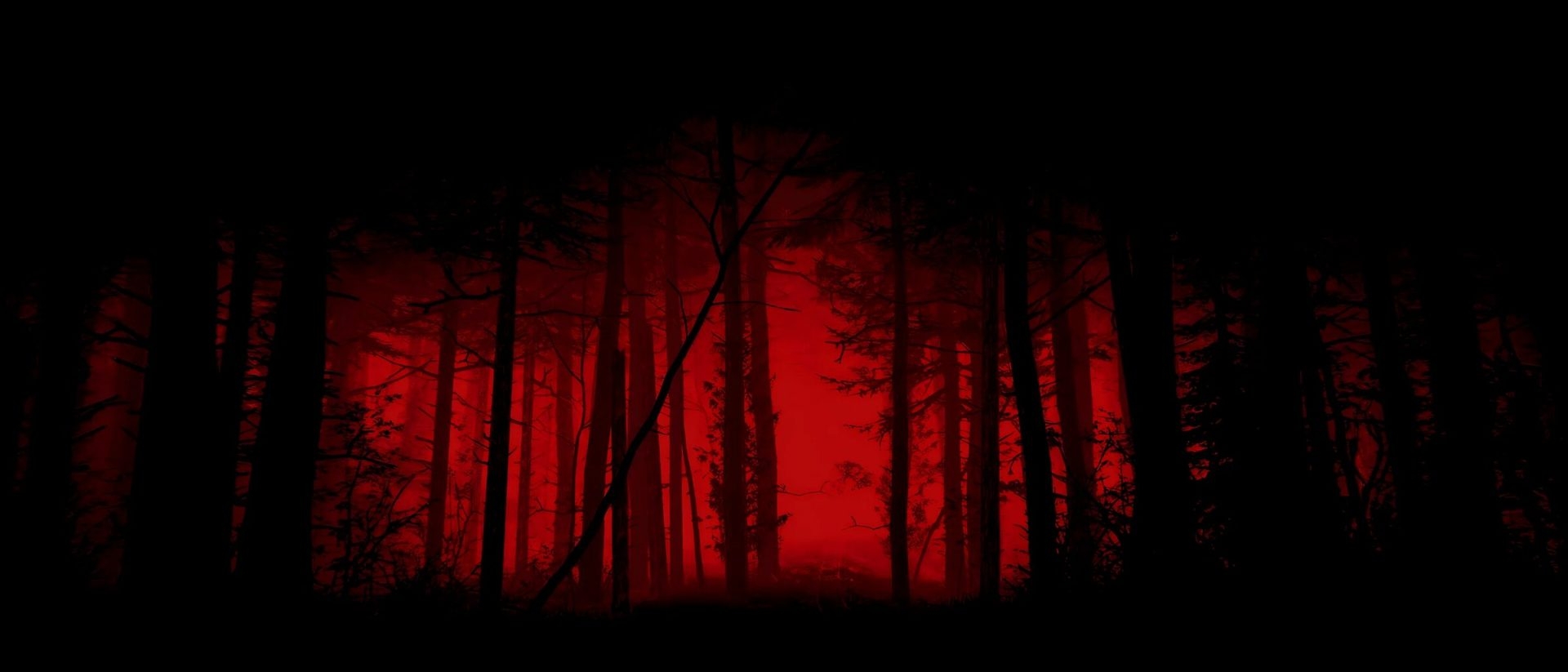 Cover photo