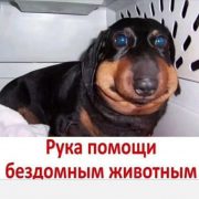 Glouziz