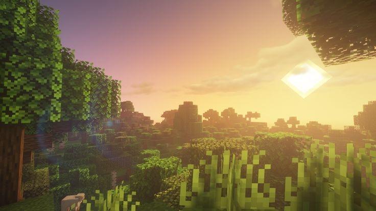 Cover photo