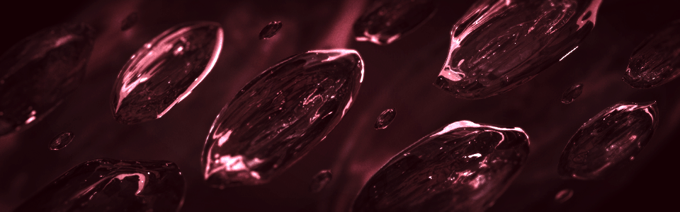 Cover photo