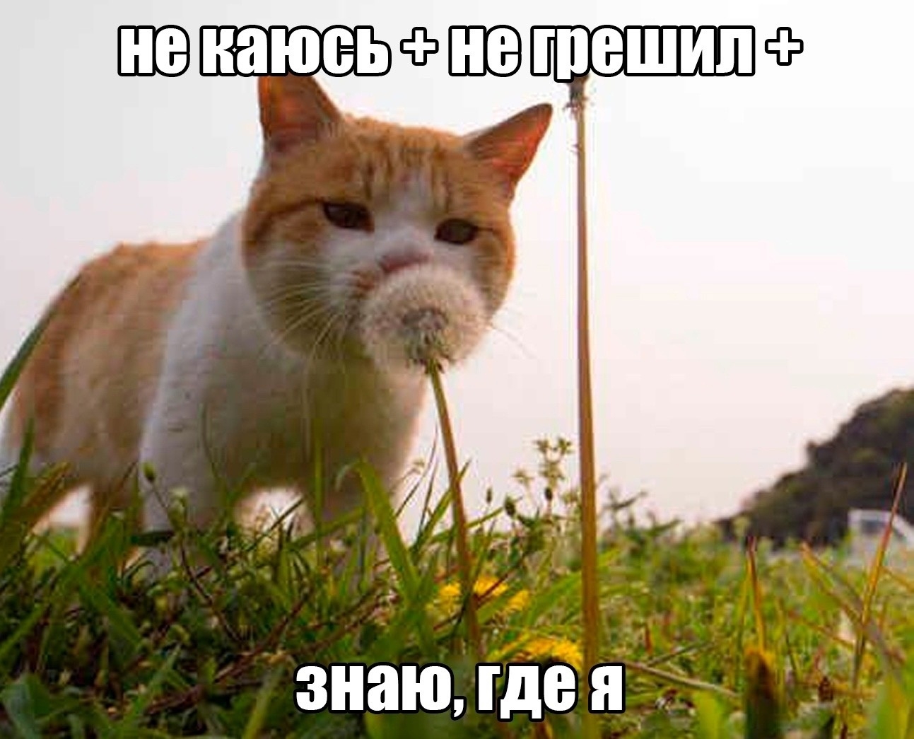 Cover photo