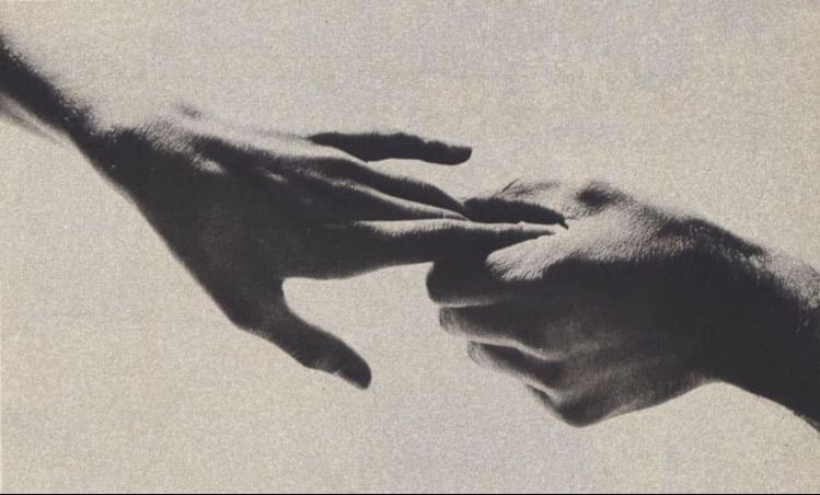 Cover photo