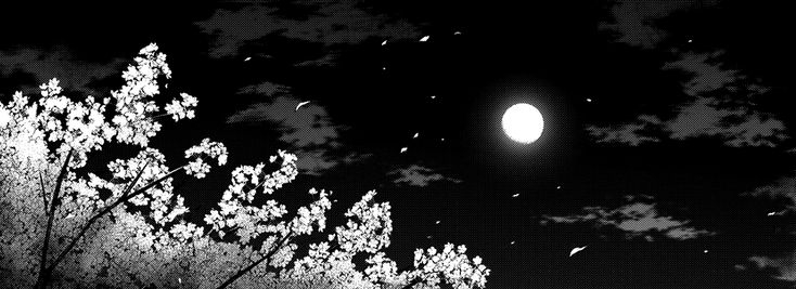Cover photo