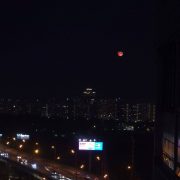 baobab121212