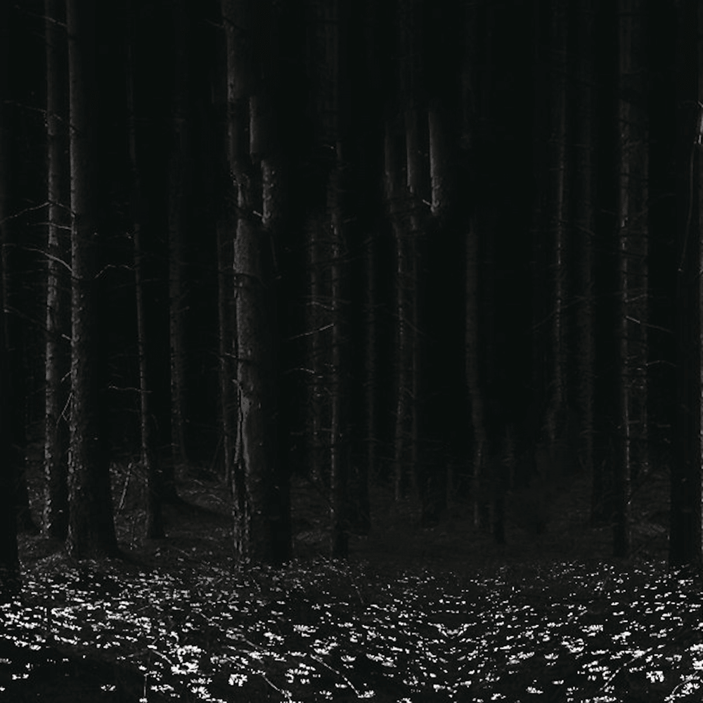 Cover photo