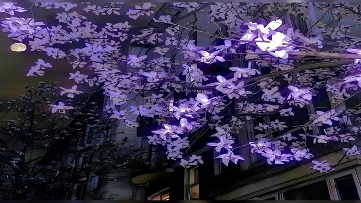 Cover photo