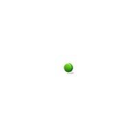 Yo-Yo