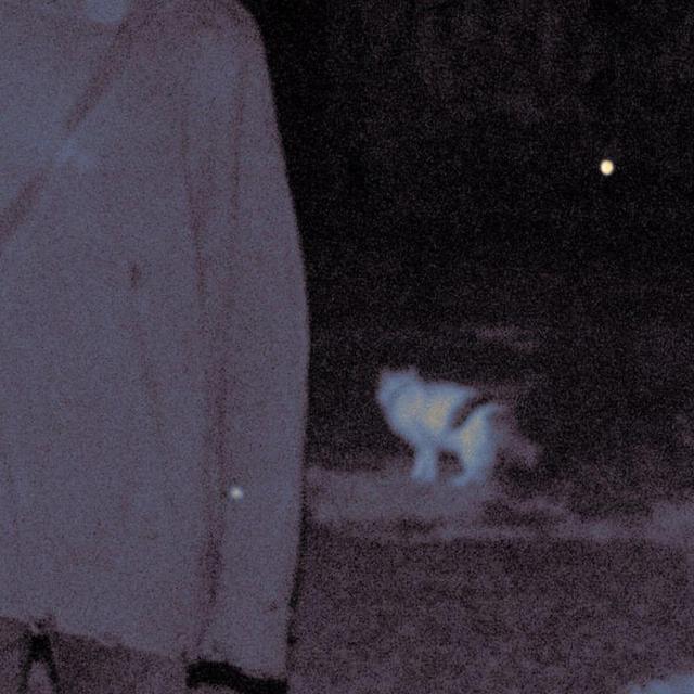 Хорошим