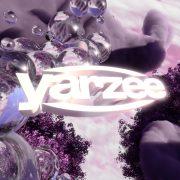 Yarzee