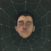 Ваш P.