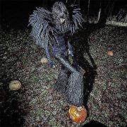 YOU COULD BE PUMPKIN