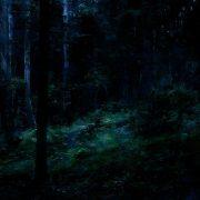 twilight