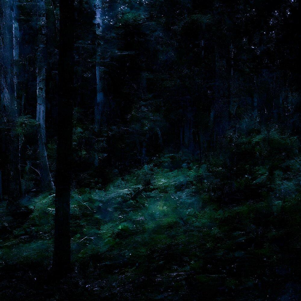 twilight