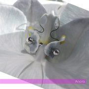 Anora