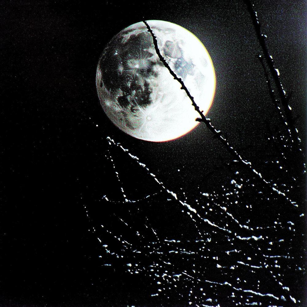 night moon