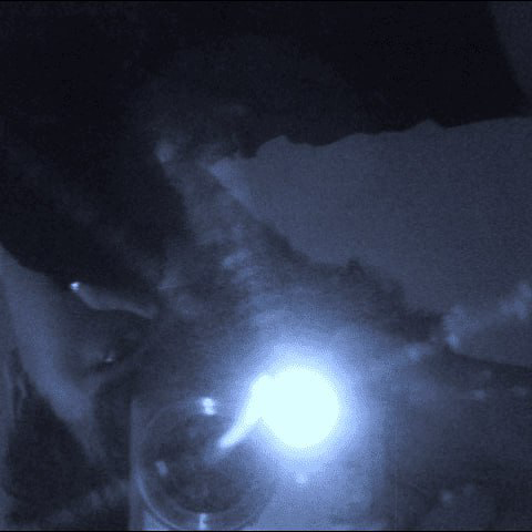gufani244