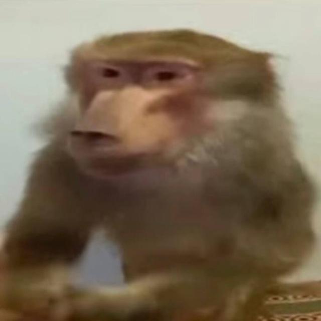 Самые модные