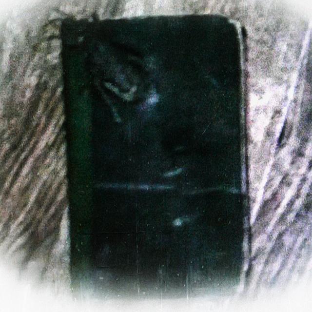 Dear Diary